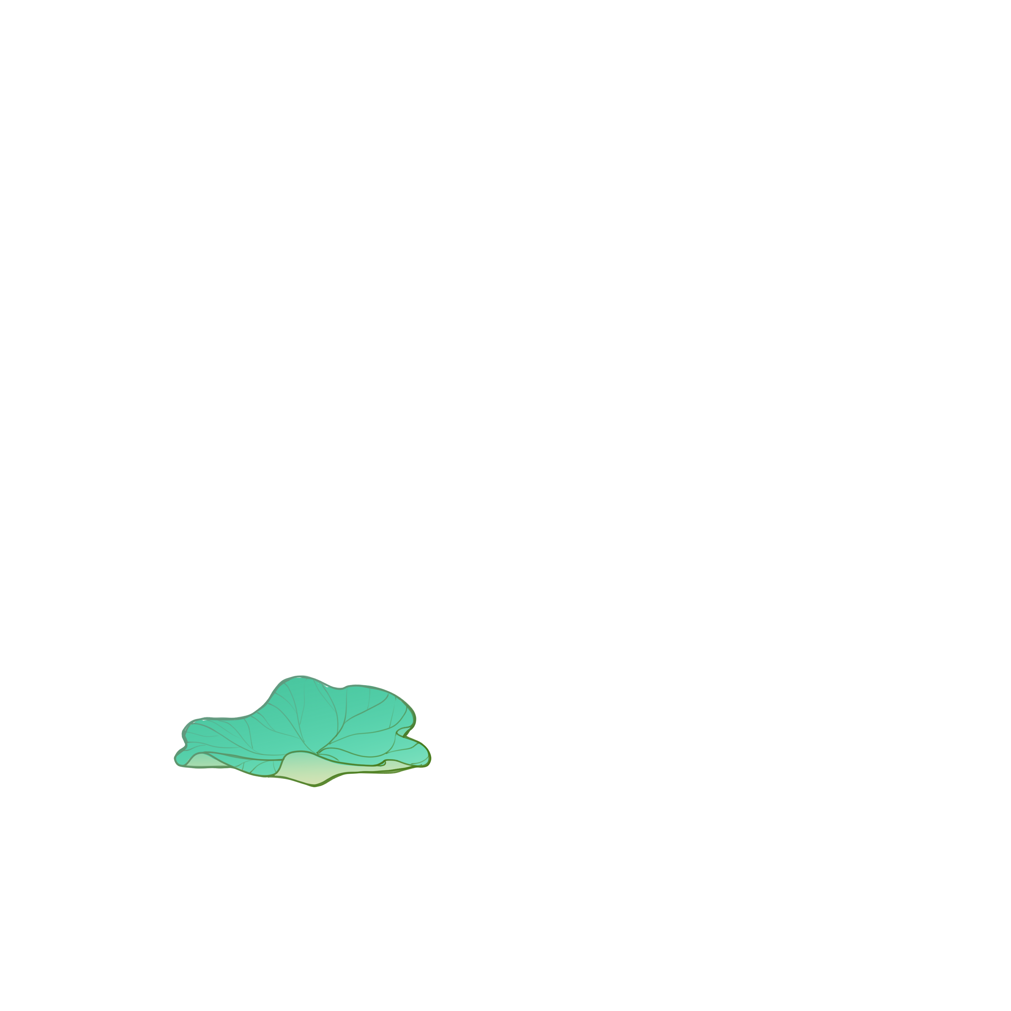 Lotus Leaf Foreground